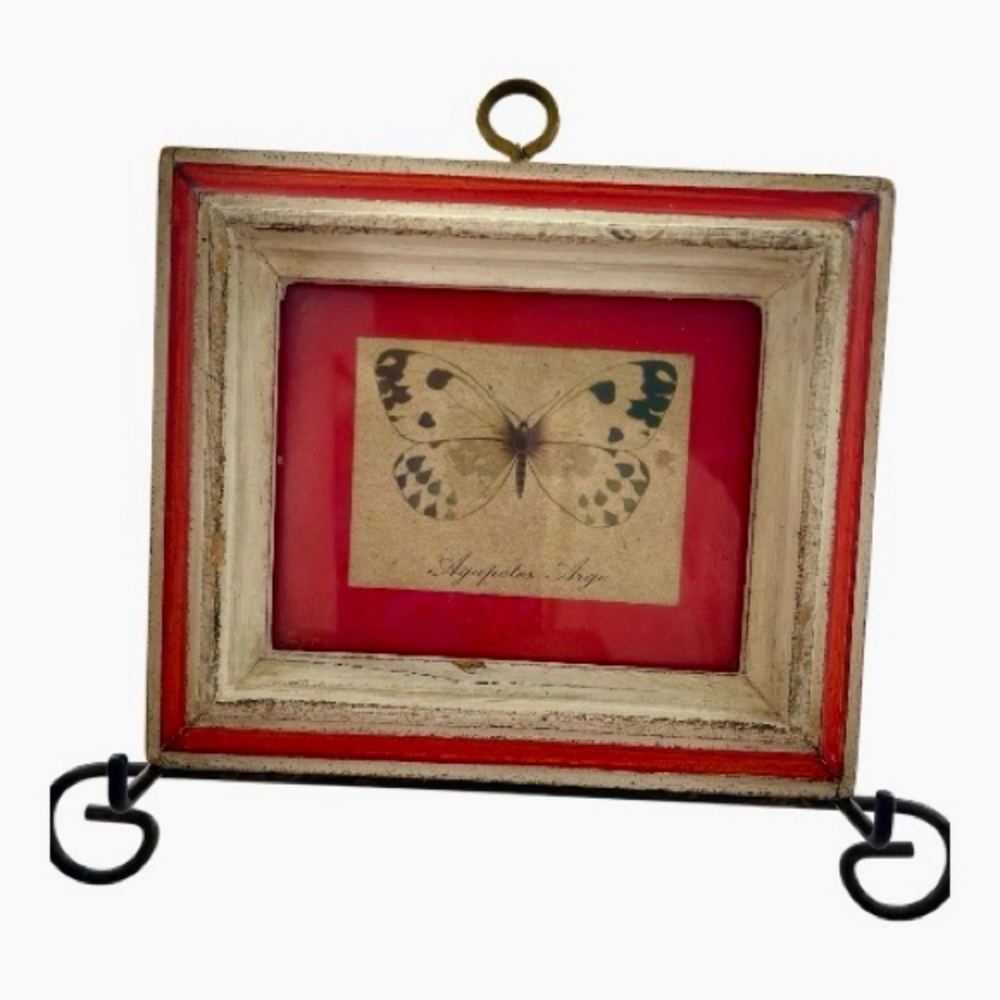 Charming miniature print of a butterfly, vintage, rustic look, made in Italy